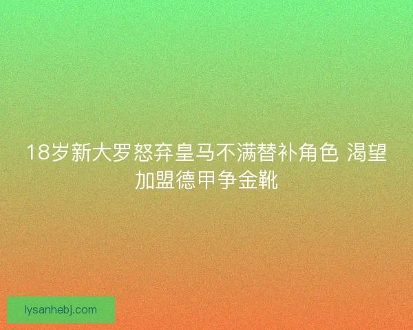 18岁新大罗怒弃皇马不满替补角色 渴望加盟德甲争金靴
